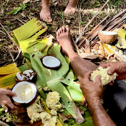 Island Surival Skills Training Gift Certificate
